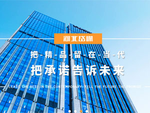 河北岱嶸建設(shè)有限公司，與我公司簽署網(wǎng)站建設(shè)合同