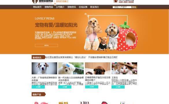 企業(yè)網(wǎng)站建設(shè)，網(wǎng)頁轉(zhuǎn)換系統(tǒng)的信息