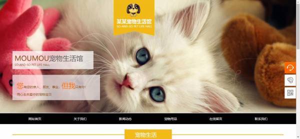 公司網(wǎng)站制作，云端訪問利用功能